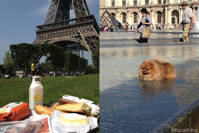 Picnic and Louvre pup