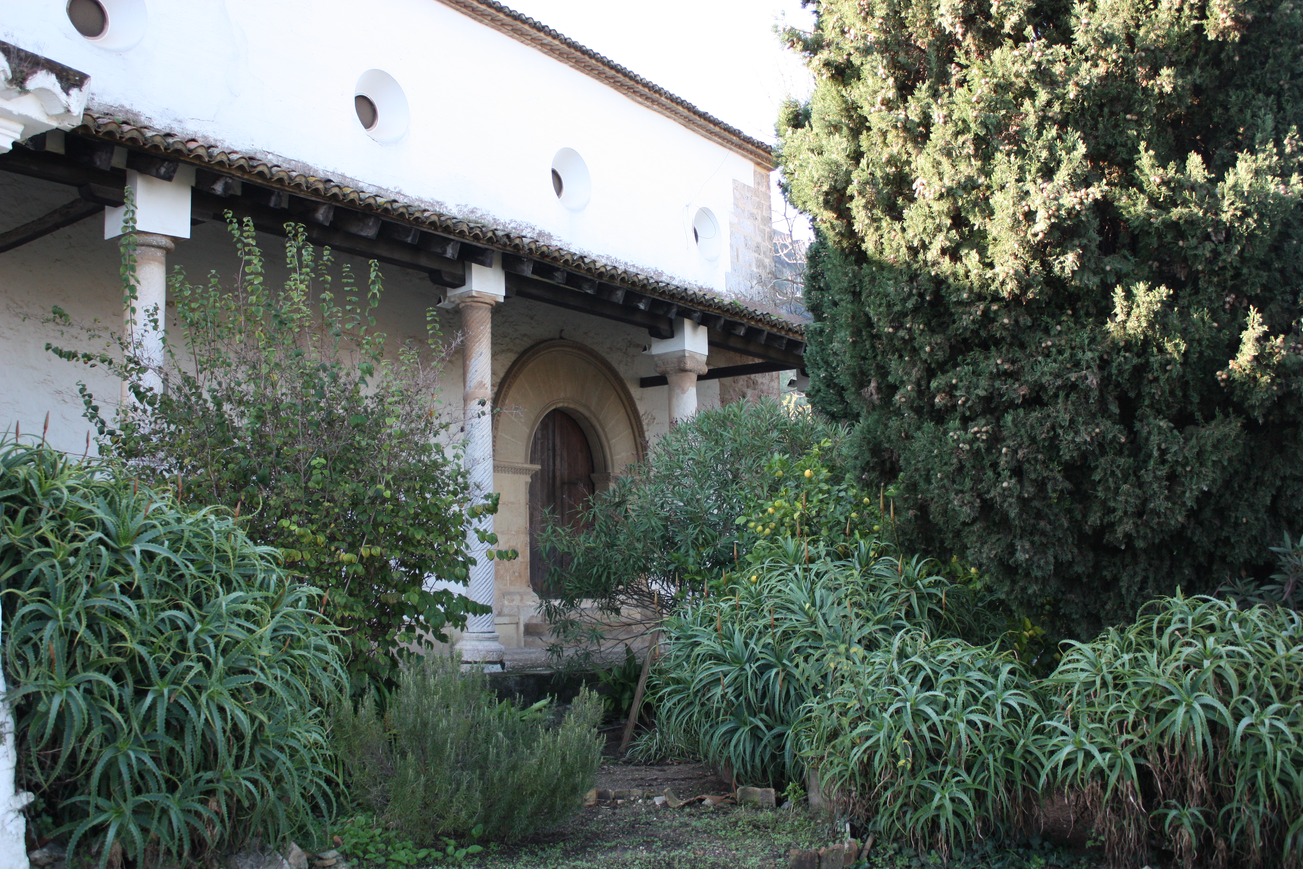 xativa nov 175