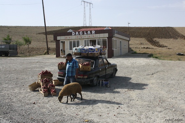 http://expatedna.com/wp-content/uploads/2012/11/Roadside-seller-in-Azerbaijan.jpg