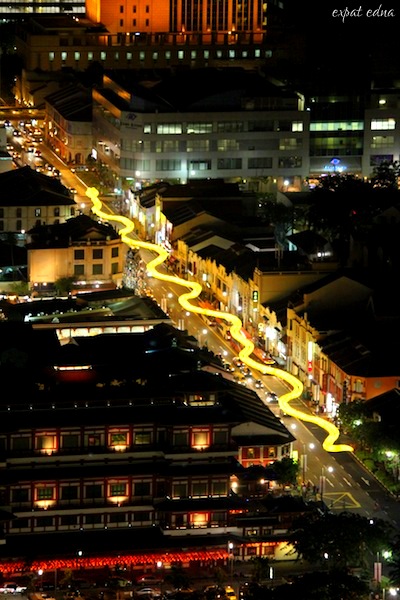 Chinatown snake Singapore - Expat Edna