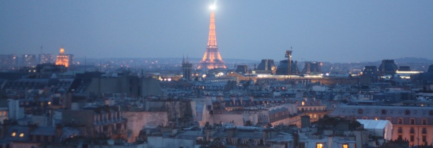 Paris from Above - Expat Edna