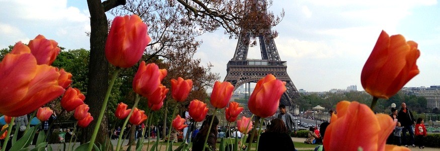 Paris in Bloom photo essay