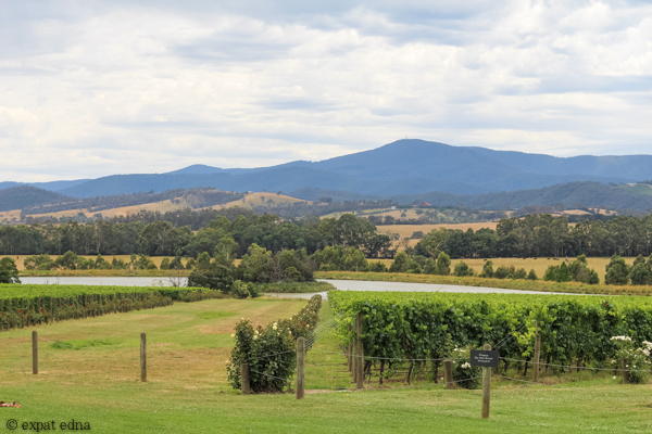 Chandon Vineyards grounds - Yarra Valley Wine Tour Melbourne by Expat